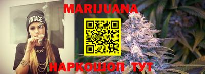 прущие грибы Усть-Джегута