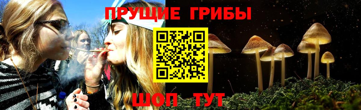 Псилоцибиновые грибы Cubensis Нефтекамск